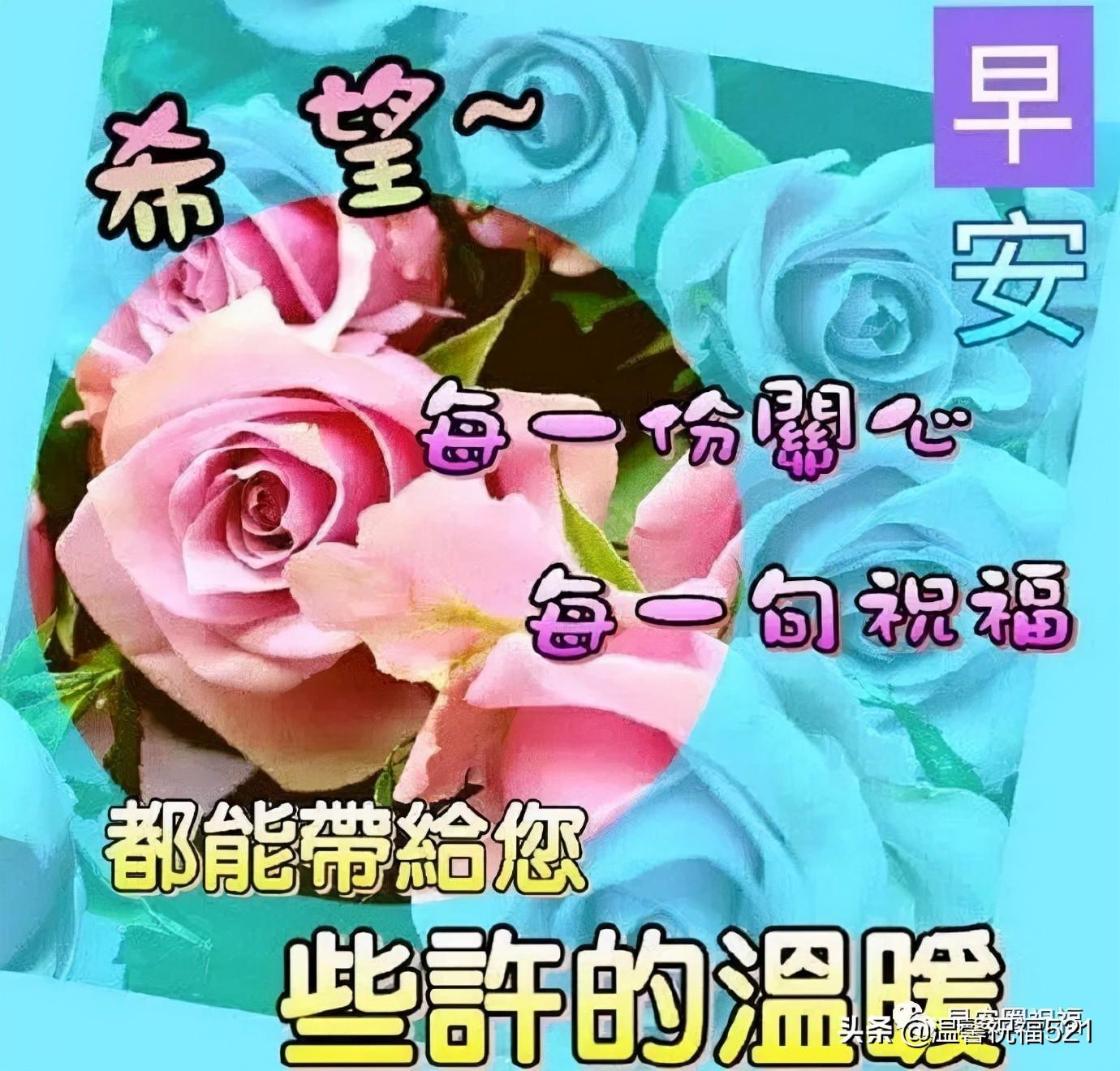 苹果平板iPad最新款，一段温馨的友情之旅