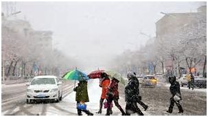 叶新林清雪最新章节免费阅读与版权思辨