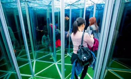 最新透视镜，绿色之旅探寻内心平静之路