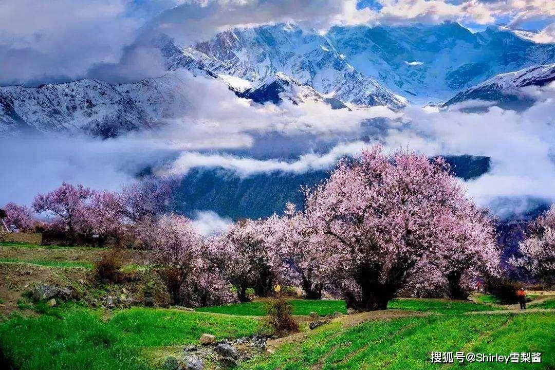 最新中国动画，自然美景的轻松之旅