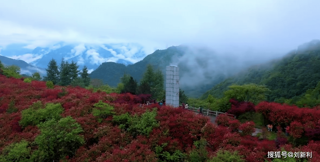 开县护士招聘最新信息及自然美景探索之旅，寻求内心宁静与平和的旅程