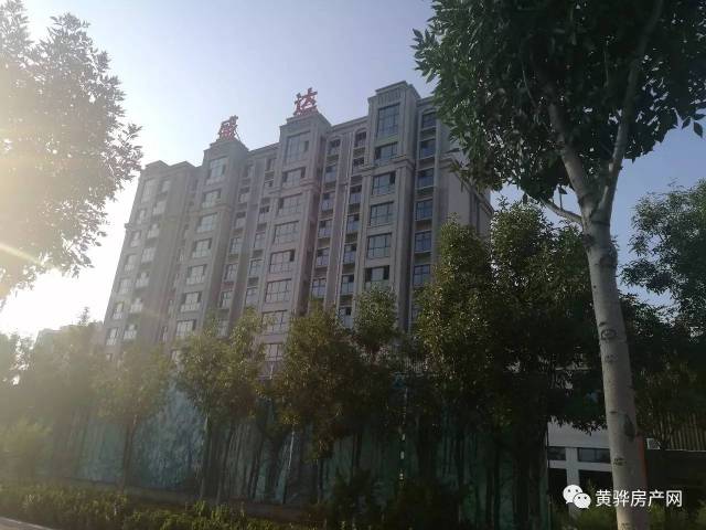 黄骅最新出租楼房指南，详细步骤助力租房新手与进阶用户轻松找到心仪房源