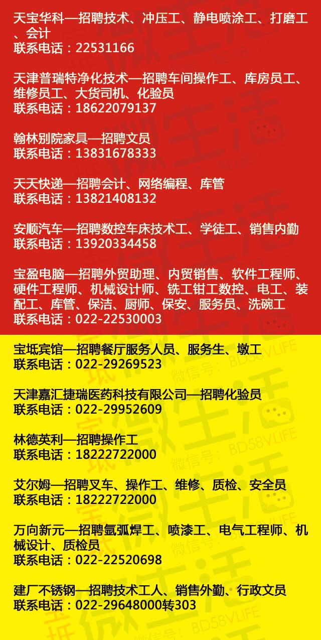东宁公司最新招聘，探寻职业发展的新起点