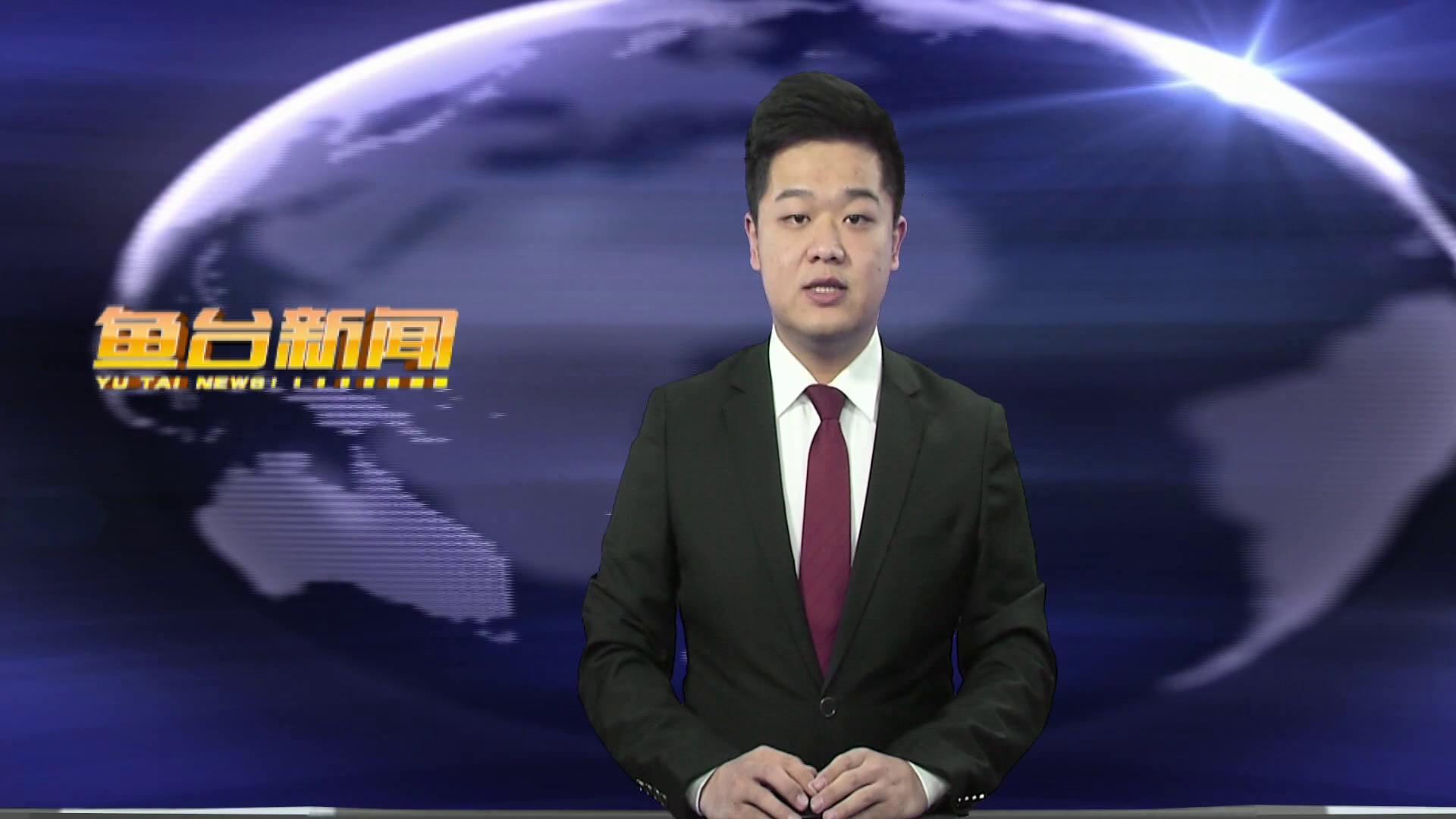 鱼台新闻联播最新报道概览