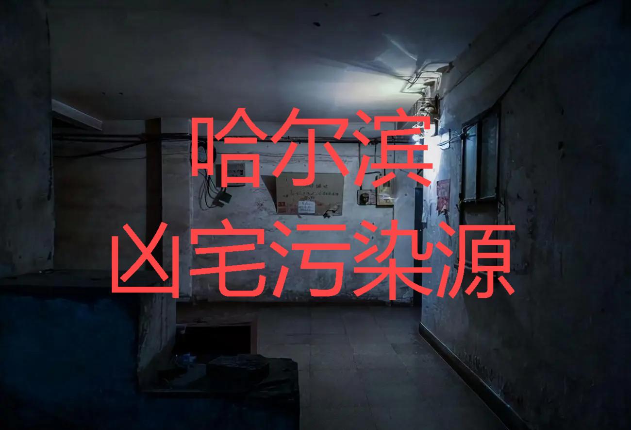 新闻 第5页