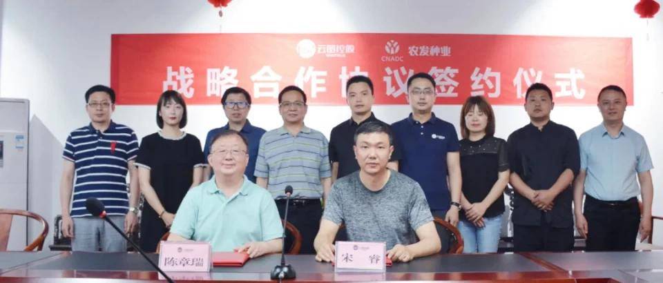 农发种业最新动态，引领农业发展的先锋力量
