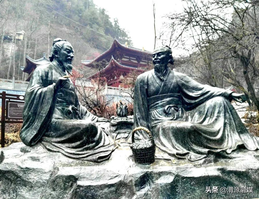 🔥最新行情揭秘，渭源党参价格大揭秘🎉